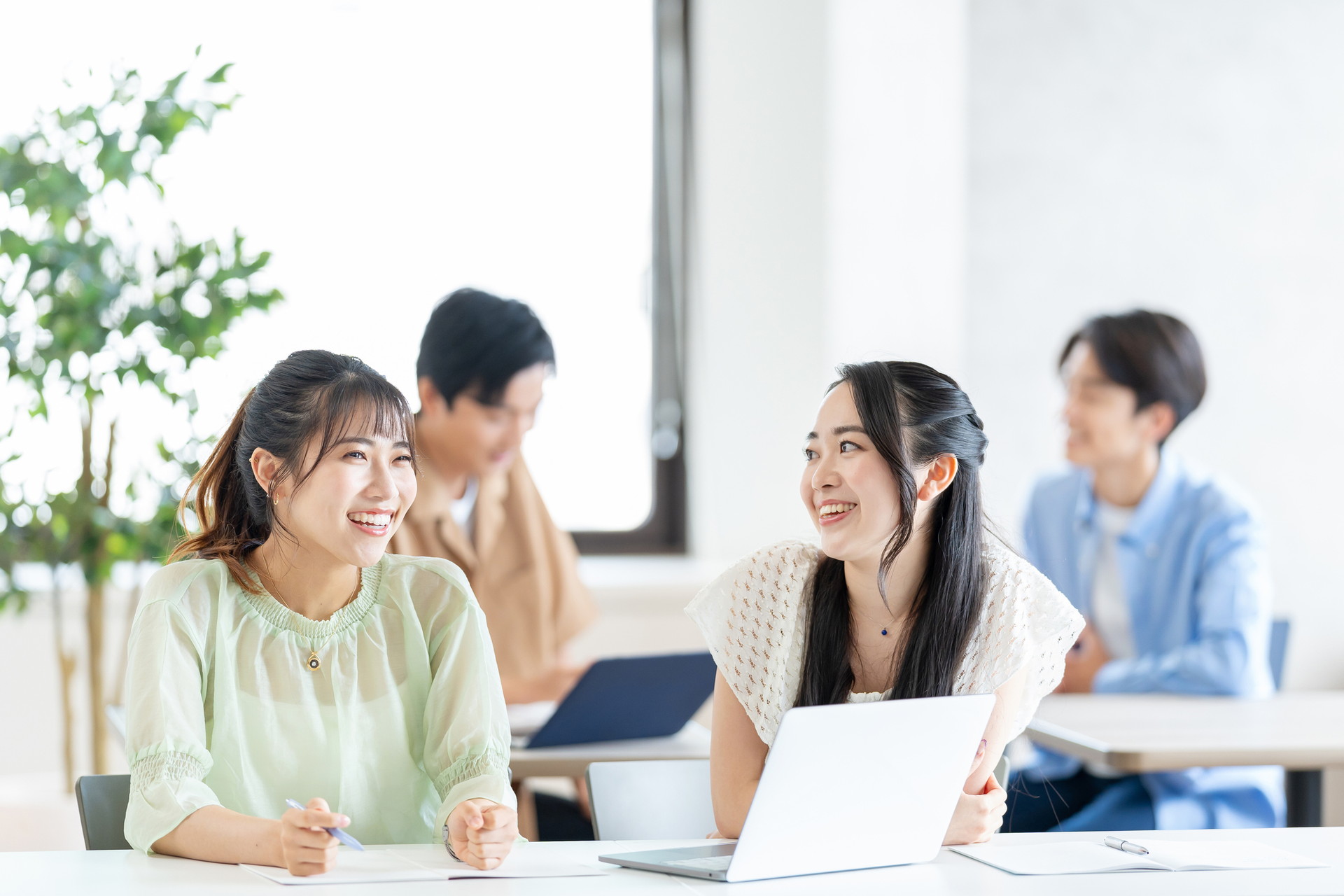 大学案内