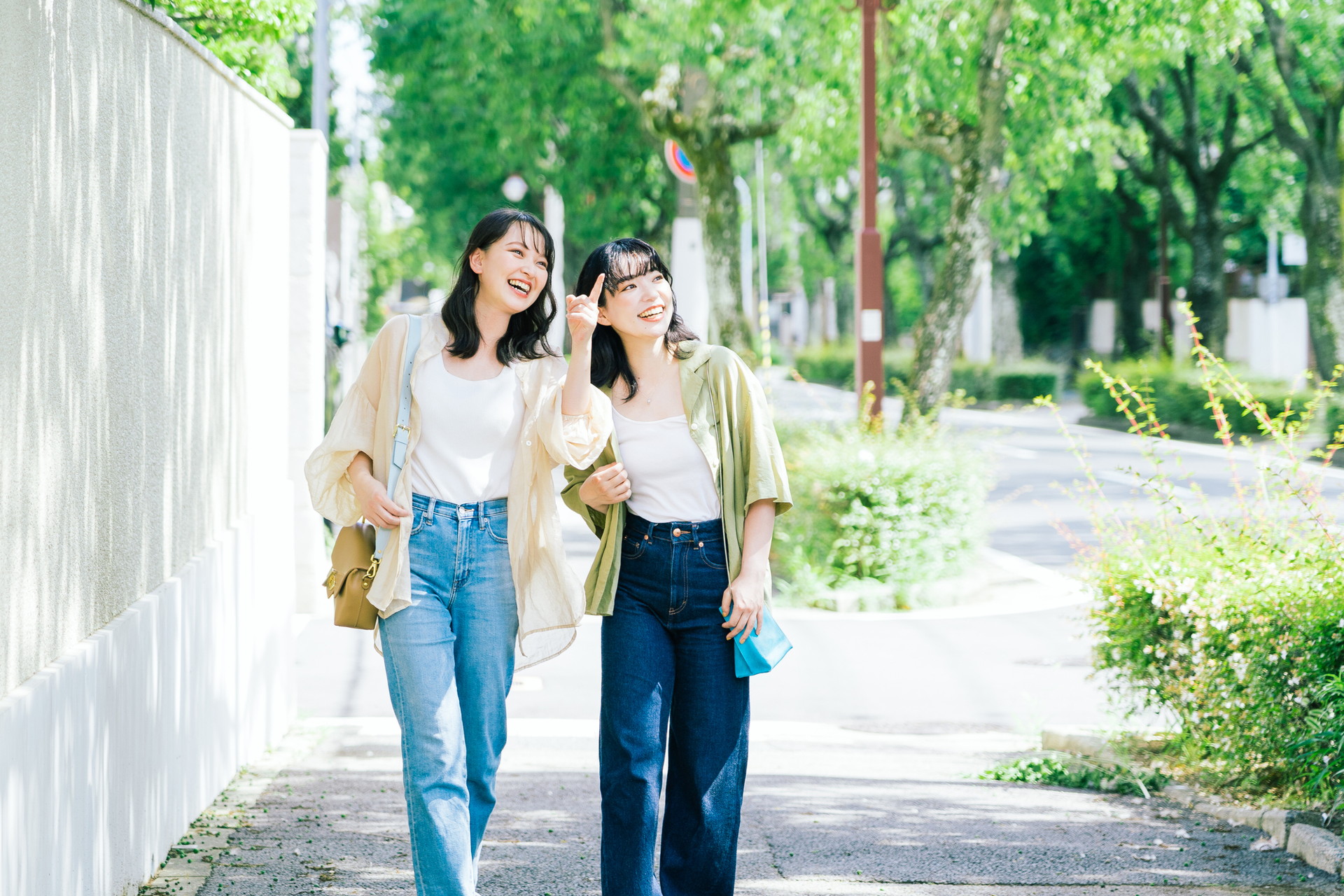 年間スケジュール